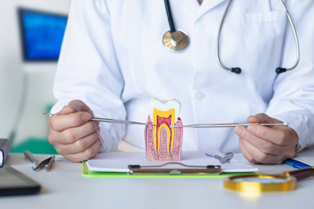Best Cosmetic Emergency Dentistry in Beechwood, MI